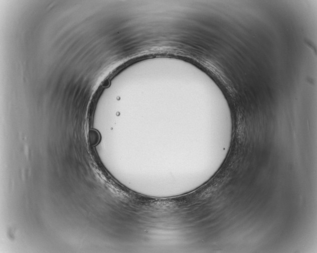 X0000101670888200807311455