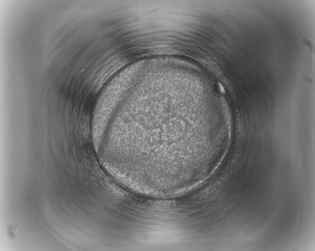 X0000101670889200807311455