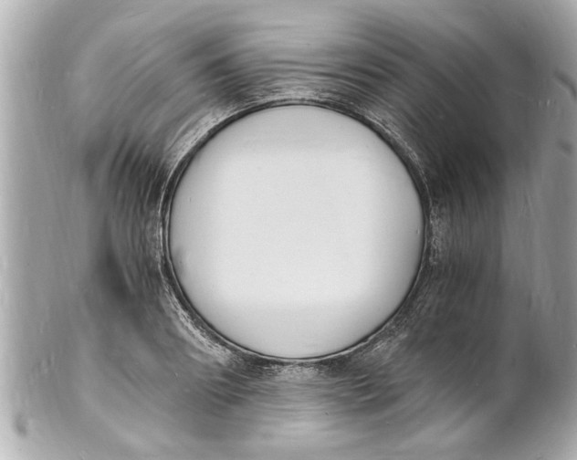 X0000101670890200807311455
