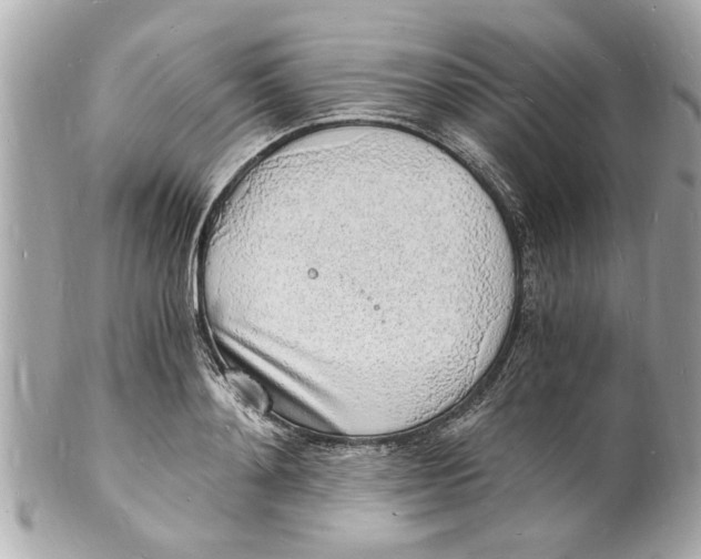 X0000101670892200807311455
