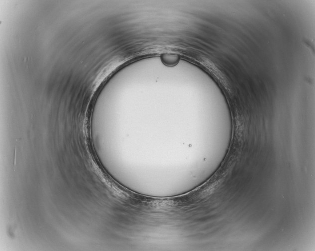 X0000101670893200807311455