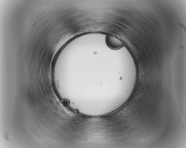 X0000101670894200807311455