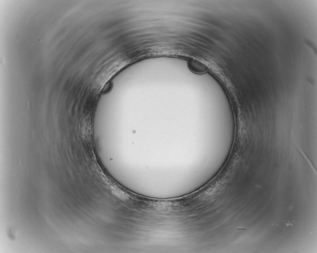 X0000101670897200807311455