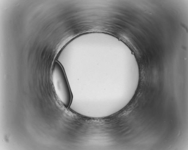 X0000101670900200807311455