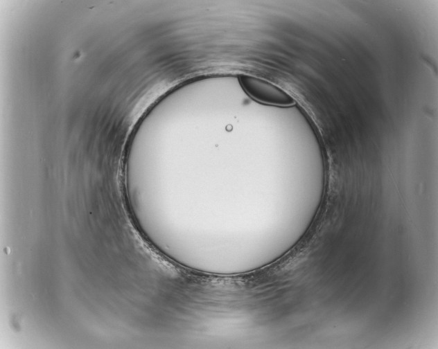 X0000101670901200807311455