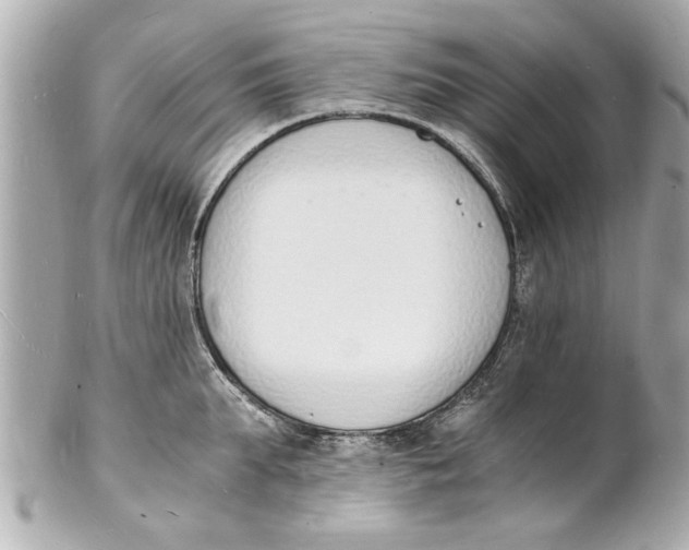 X0000101670903200807311455