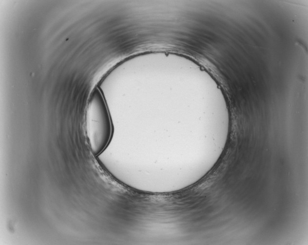 X0000101670904200807311455