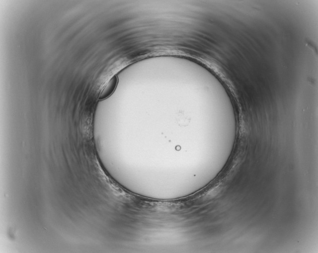 X0000101670905200807311455