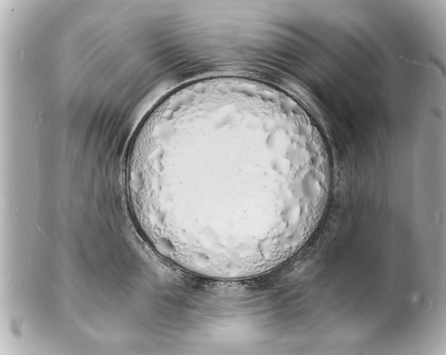 X0000101670907200807311455