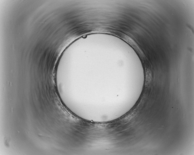 X0000101670908200807311455