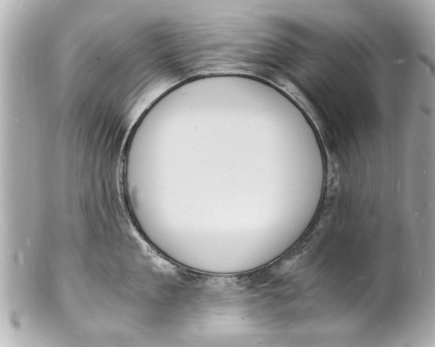 X0000101670909200807311455