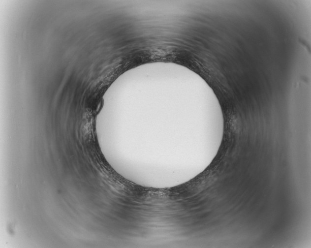 X0000101670914200807311454