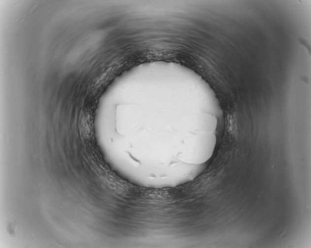 X0000101670915200807311454