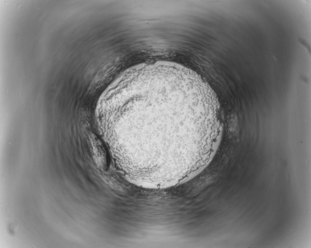 X0000101670916200807311454