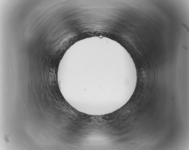 X0000101670918200807311454