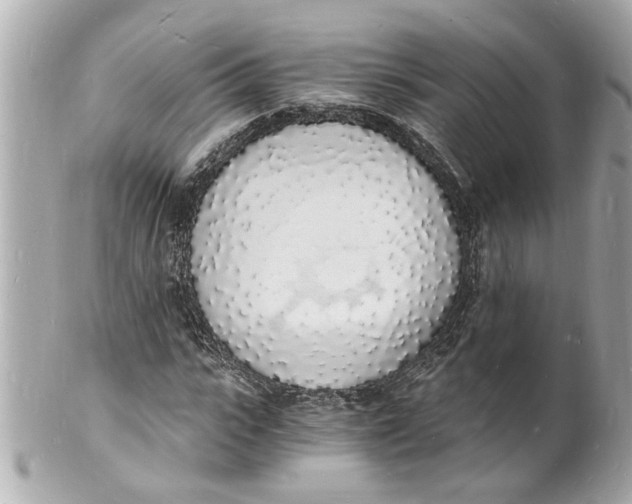 X0000101670919200807311454