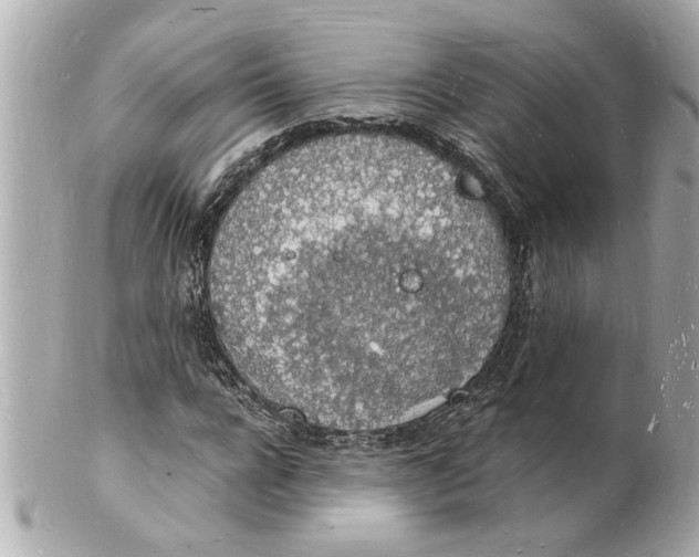 X0000101670920200807311454