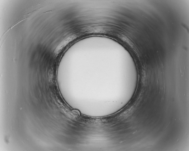 X0000101670922200807311454