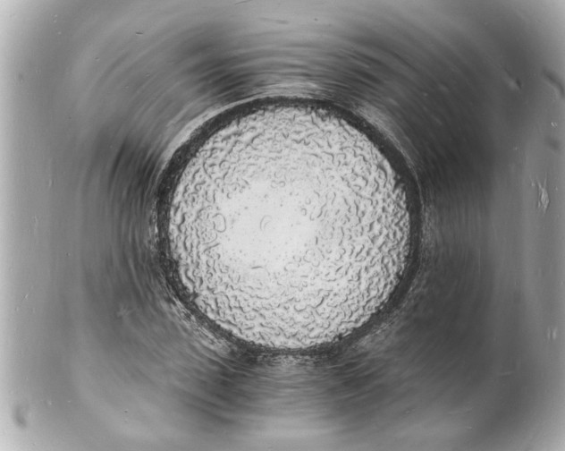 X0000101670923200807311454