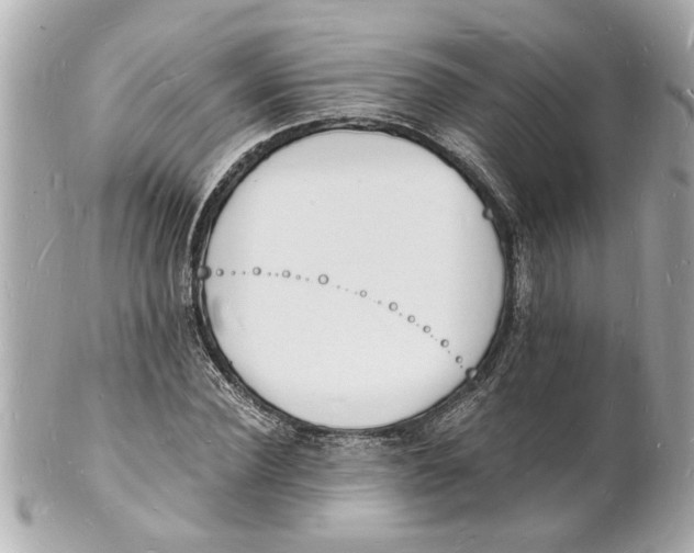 X0000101670924200807311454