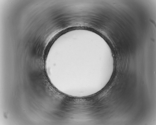 X0000101670927200807311454