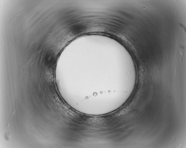 X0000101670929200807311454