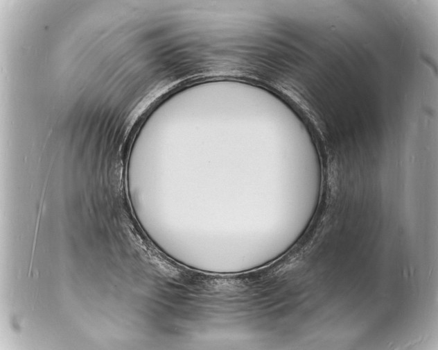 X0000101670933200807311454