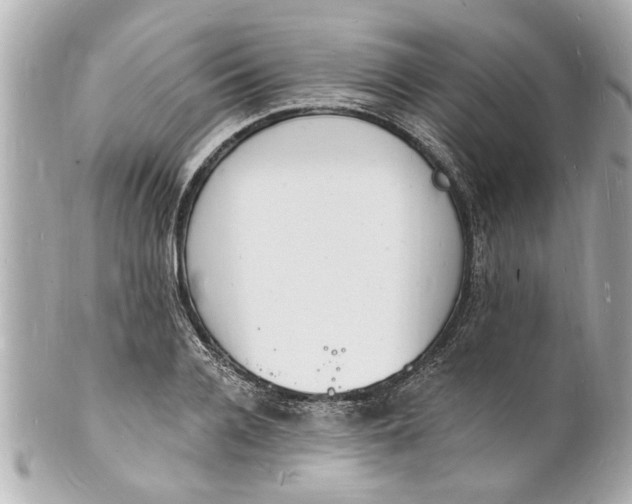 X0000101670936200807311454