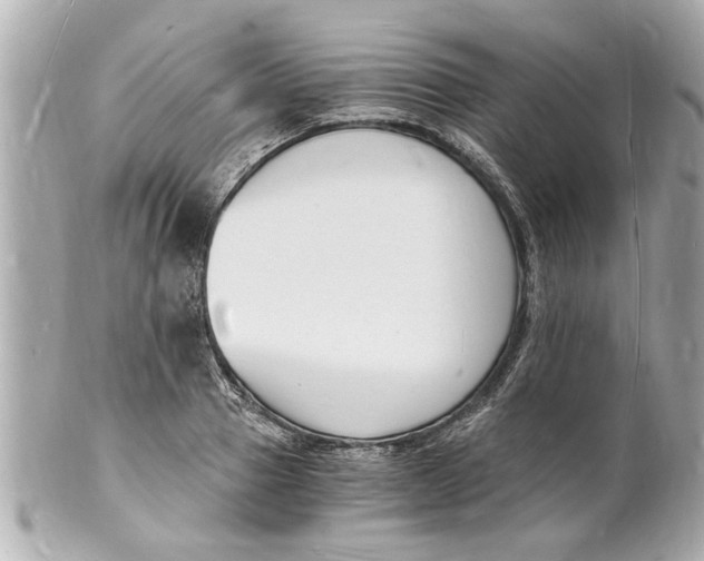 X0000101670937200807311454