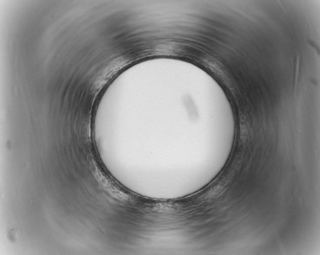 X0000101670938200807311454