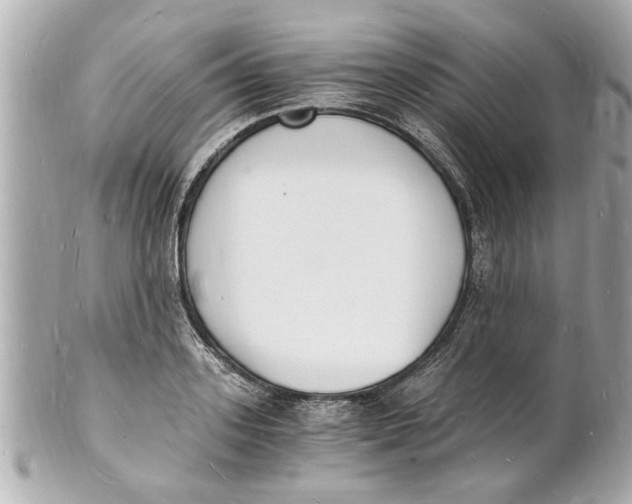 X0000101670939200807311454