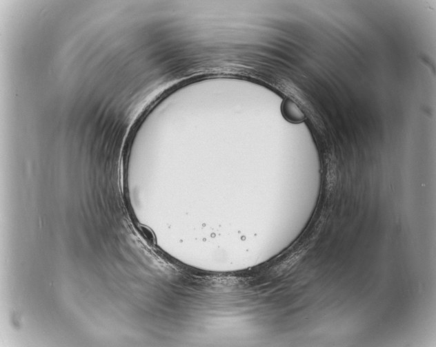 X0000101670940200807311454