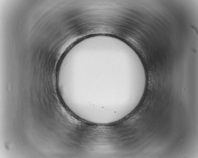 X0000101670942200807311454