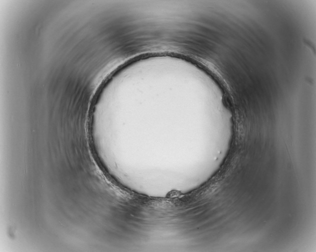 X0000101670943200807311454