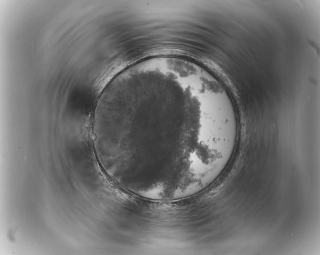 X0000101670945200807311454