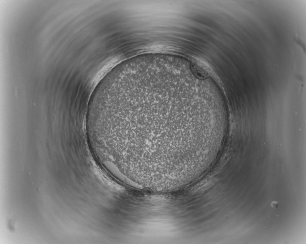 X0000101670946200807311454