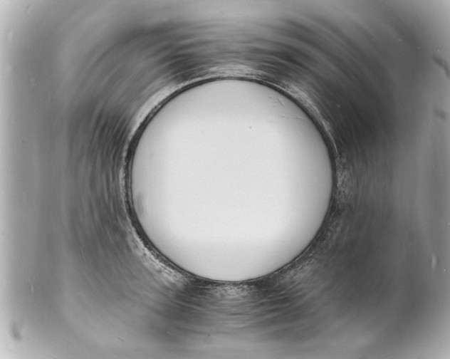 X0000101670947200807311454