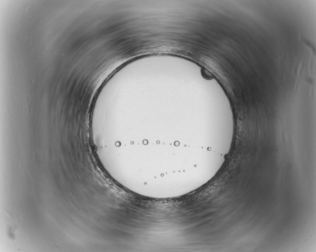 X0000101670948200807311454