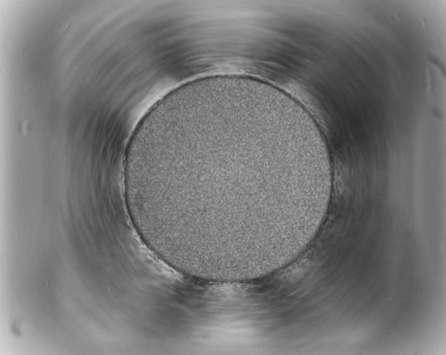 X0000101670950200807311454
