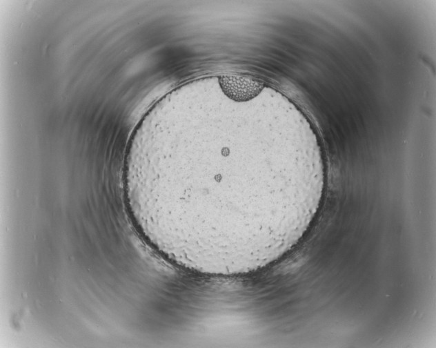 X0000101670954200807311454