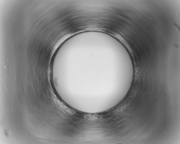 X0000101670955200807311454