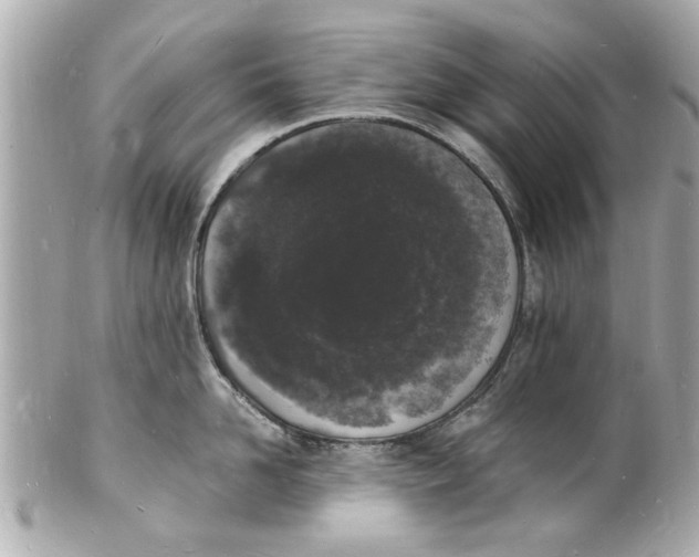 X0000101670958200807311454
