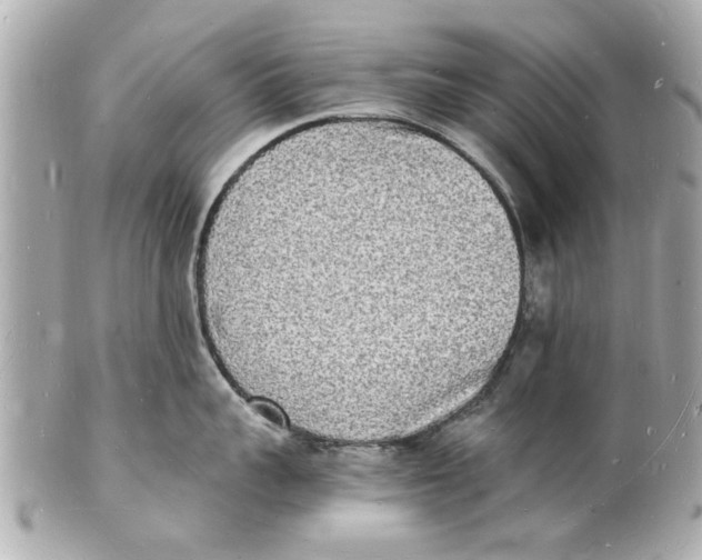 X0000101670959200807311454