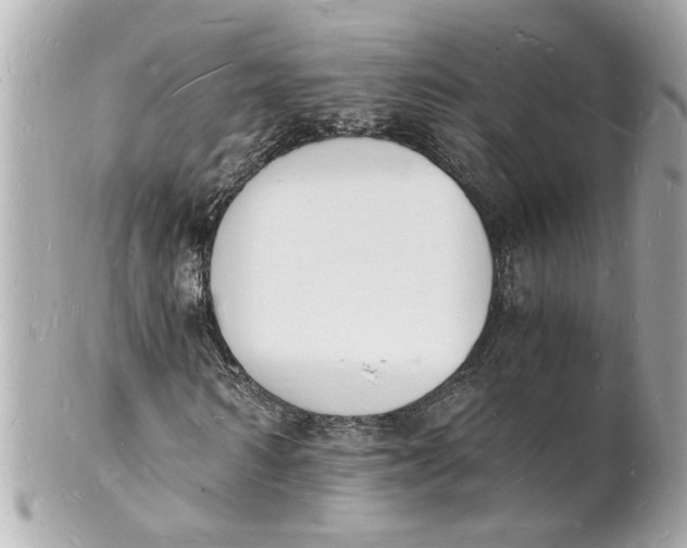 X0000101670962200807311454
