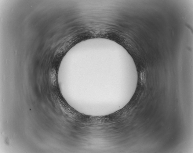 X0000101670963200807311454