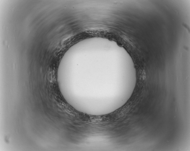 X0000101670965200807311454