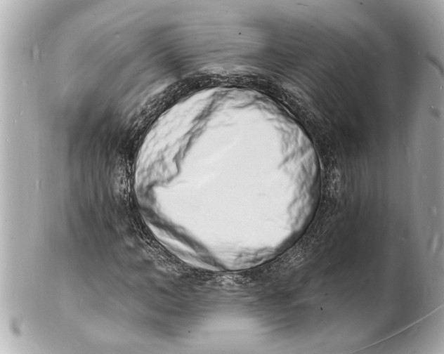X0000101670966200807311454