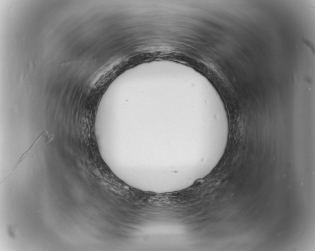 X0000101670967200807311454