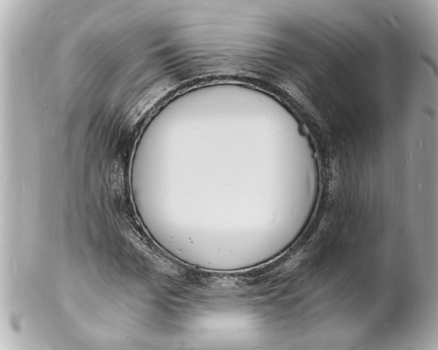 X0000101670969200807311454