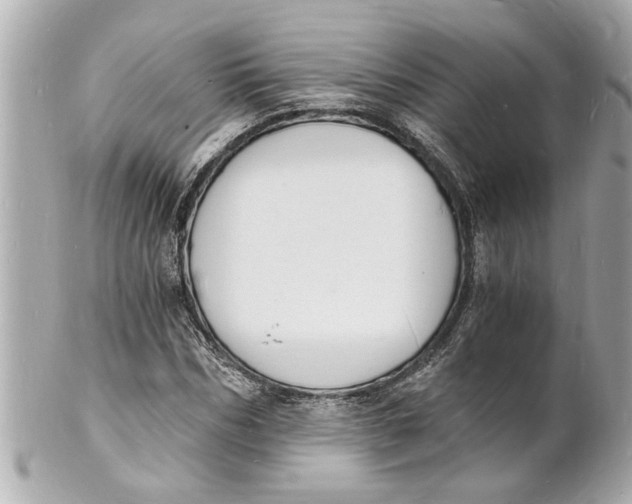 X0000101670970200807311454